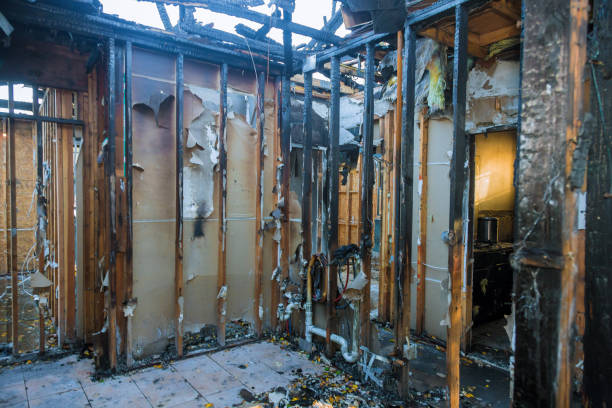 Professional Structural Rebuild technician working in McKinney, TX